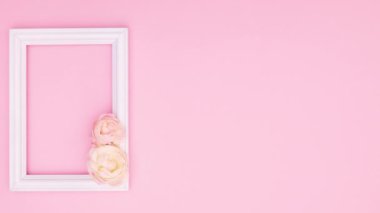 Güzel pembe güller ve pembe temalı yazılar için romantik çerçeveler. Hareketi durdur