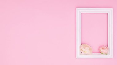 Güzel pembe güller ve pembe temalı yazılar için romantik çerçeveler. Hareketi durdur