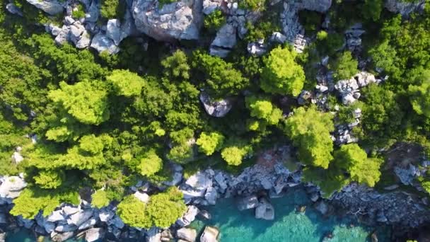 Vista Aérea Costa Mar Exótico Com Rochas Vegetação Incrível Mar — Vídeo de Stock