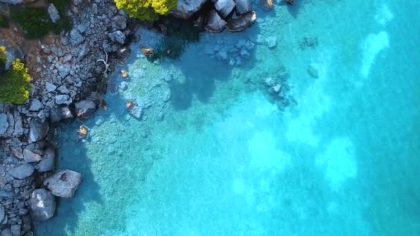 鸟瞰异国情调的海滨 有岩石和绿叶 还有各种深蓝色的透明迷人的大海 — 图库视频影像