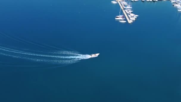 Speedboat Arrives Dock Port Aerial View Speedboat Docking Harbor — Stock Video