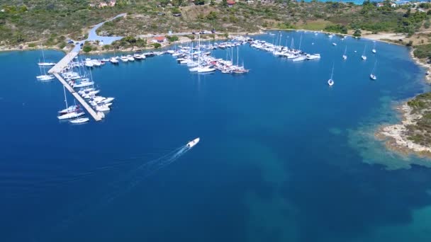 Speedboat Arrives Dock Port Aerial View Speedboat Docking Harbor — Stock Video