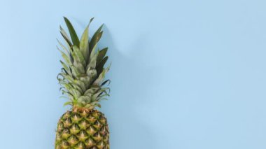Pastel mavi renkte yuvarlanan ananas. Hareketi durdur 