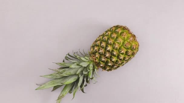 Piña Pasando Por Tema Gris Plateado Detener Movimiento — Vídeo de stock