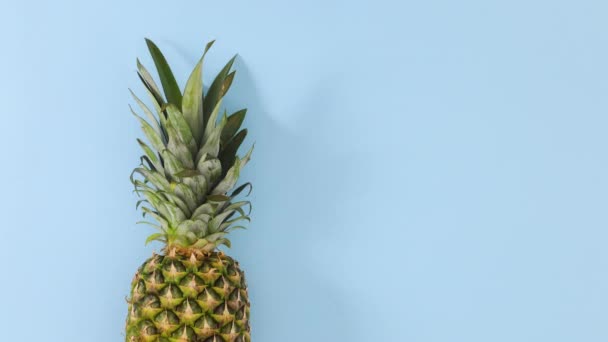 Ananas Rotolamento Sul Tema Blu Pastello Ferma Movimento — Video Stock