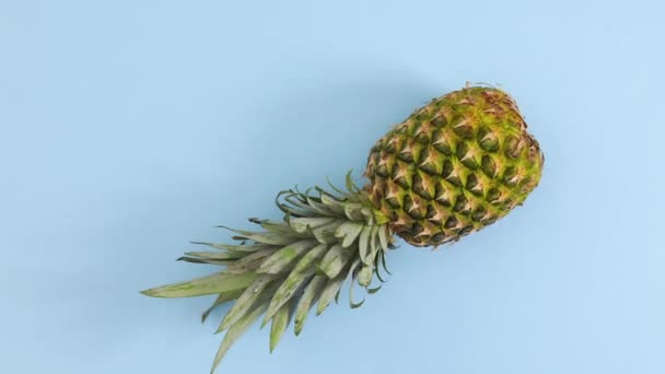 Ananas Doorgeven Pastelblauw Thema Stop Met Bewegen — Stockvideo