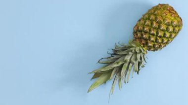 Pastel mavi temalı köşelerde hareket eden ananas. Hareketi durdur 