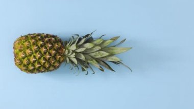 Taze ananas mavi temada yuvarlanıyor. Hareketi durdur 