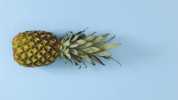 Färsk Ananas Rullande Plats Blå Tema Stoppa Rörelse — Stockvideo