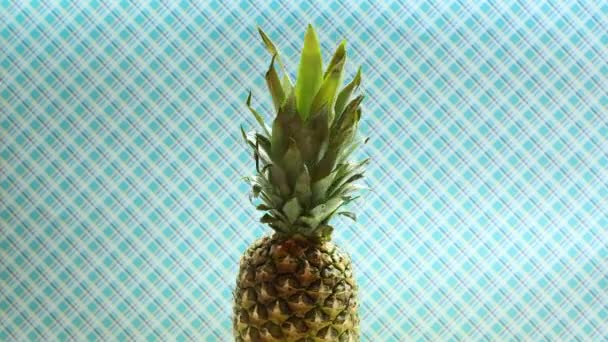 Ananas Rotatif Sur Thème Bleu — Video