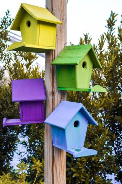 Çok renkli iç içe geçmiş kutular kuş evleri closeup yeşil ile açık arka plan dikey biçim yapraklar