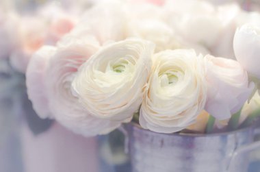 Düğünçiçeği çiçek buketi Lila zemin üzerine yakın çekim