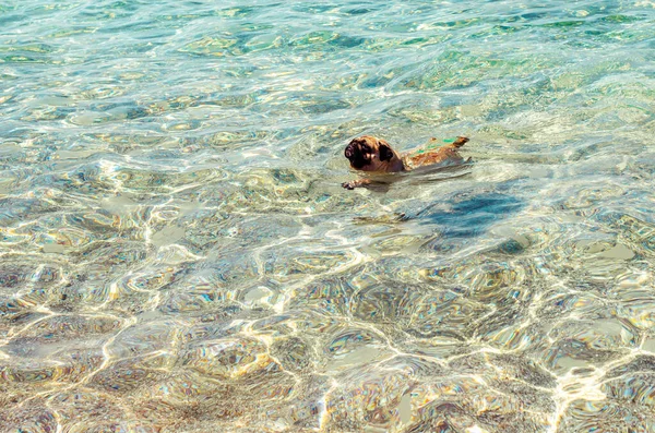 Pug dog kürek çekiyor ve kristal berrak turkuaz deniz suyunda yüzüyor sıcak yaz gününde eğleniyor. Evcil hayvanlarla seyahat, aile tatilleri, doğa sporları.