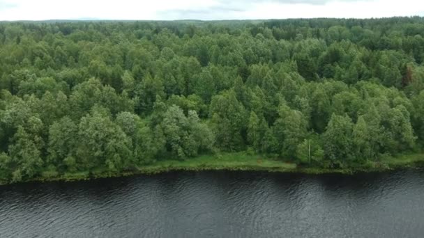 Bosque Caduco Árboles Lago Tiro Con Drones Verano Día Clima — Vídeos de Stock