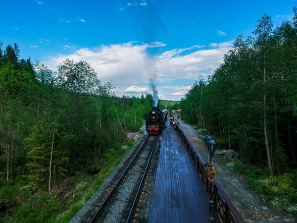 蒸気機関車は夏の曇りの日に森の駅に停車しました ロスカラ ロシア — ストック写真