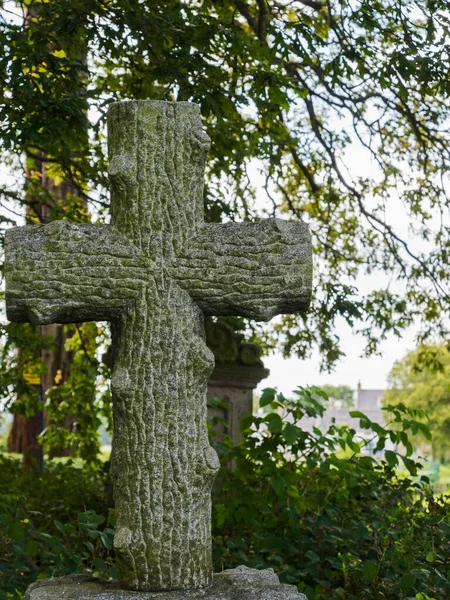 Kříž Stromu Skotských Hranicích Northumberland Velká Británie — Stock fotografie