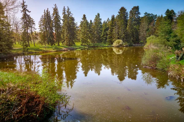 Koniferen Einem Fluss Spiegeln — Stockfoto