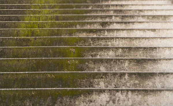 Stairs Overgrown Moss Backgrounds — Stock Photo, Image