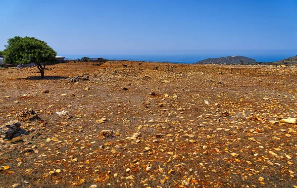 Välimeren maisema punaisella hiekalla ja kivillä — kuvapankkivalokuva