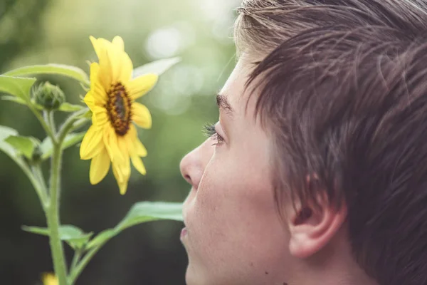 Profil eines jungen Mannes, der eine Sonnenblume betrachtet — Stockfoto