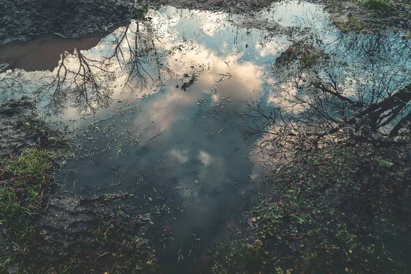 Big puddle with reflections of the sky — Stock Photo, Image