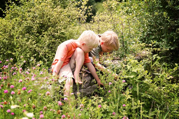 Dva Malí Chlapci Hrají Venku Zemi Při Pohledu Jetel Květiny — Stock fotografie