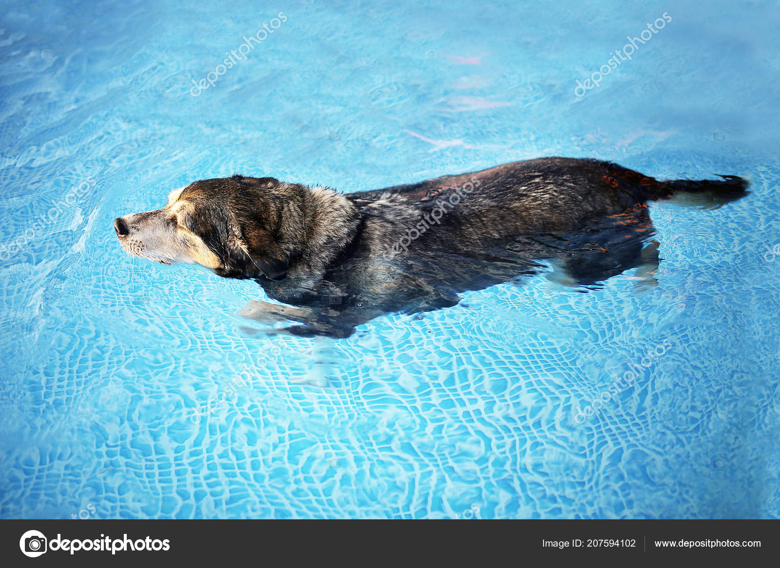 Rehabilitacion rodilla en piscina