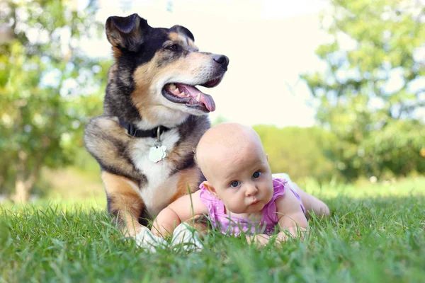 Cute Month Old Baby Girl Laying Grass Hugging Her German — Stock Photo, Image