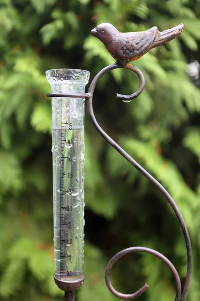 Metal Slass Garden Rain Gauge Filled Inches Water Heavy Thunderstorms — Stock Photo, Image