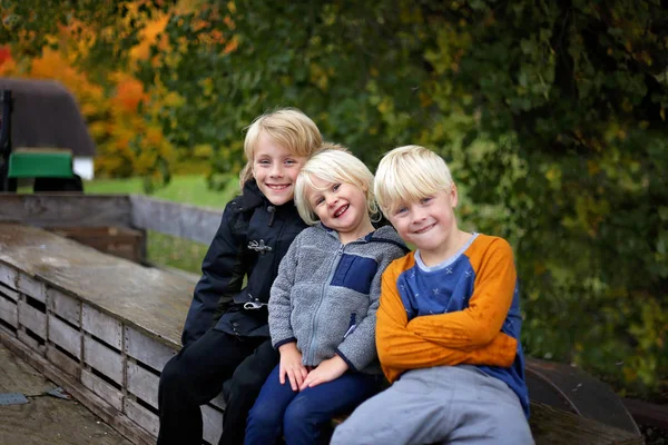 Tres Niños Lindos Sonríen Mientras Sientan Parte Trasera Carro Tractor —  Fotos de Stock
