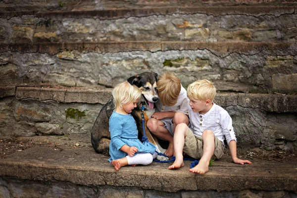 人の子供と彼らのペットのジャーマン シェパードのミックス犬は石造りの庭の壁に一緒に座っている 大きな兄弟コンソールとして赤ちゃんの妹泣く彼女 — ストック写真