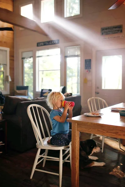 Liten Flicka Barn Sitter Vid Frukostbordet Solig Morgon Dricka Sippy — Stockfoto