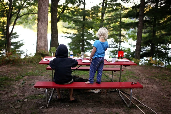 Dwoje Małych Dzieci Ich Pies Pikniku Campingu Widokiem Jezioro Lesie — Zdjęcie stockowe