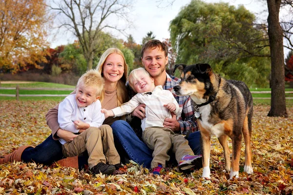一个幸福的家庭 有母亲 两个孩子和他们的德国牧羊狗 在秋天的一天里 在秋天的树下微笑着寻找肖像画 — 图库照片