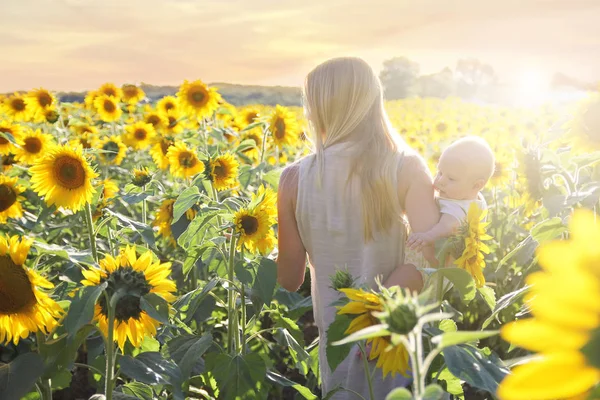 母と彼女の赤ん坊の娘平和を通って歩いているひまわり畑の夕日の黄金の時間の中に — ストック写真