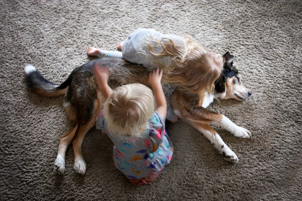 つの小さな女の子の子供たちが喜んでハグと家族ペットの犬をかわいがる — ストック写真