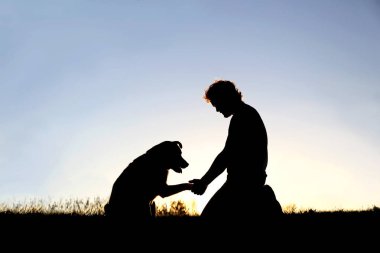Adam sallayarak elleriyle onun sadık evde beslenen hayvan köpek silüeti