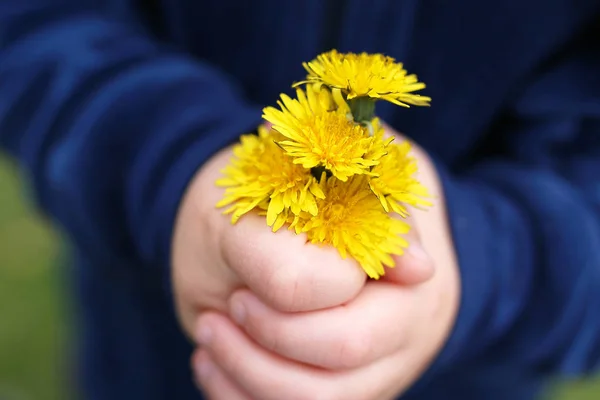 一个小孩的手拿着一个新鲜采摘的花束o — 图库照片