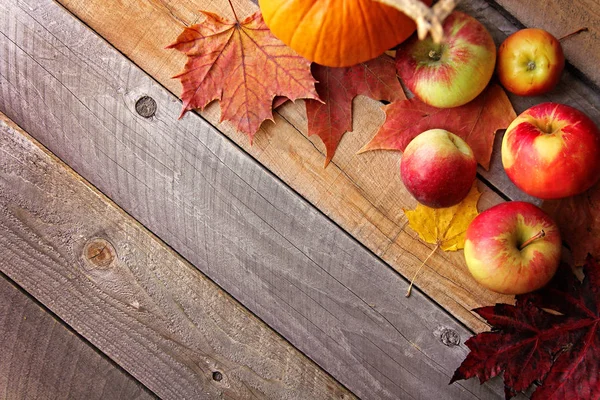 Rustic Autumn Wooden Background Framed by Apples and Fall Maple Stock Image