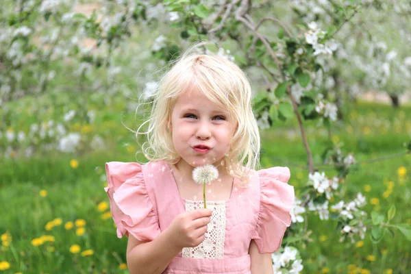春天的一天 一个可爱的金发小女孩在外面玩耍 吹蒲公英的种子 而在开着白花的苹果树下盛开着鲜花 — 图库照片