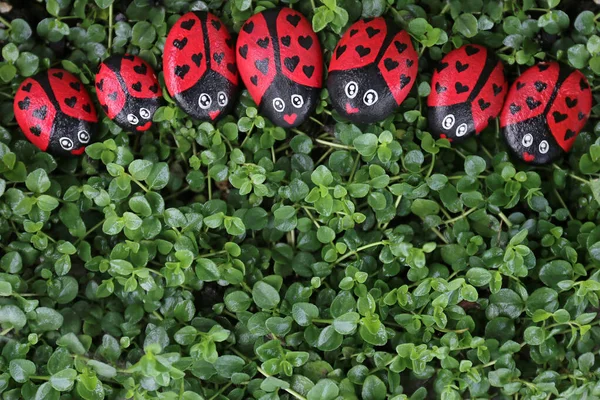 Üzerinde kalpleri olan bir grup boyanmış uğur böceği Kekik 'in yemyeşil arka planında birlikte otururlar..