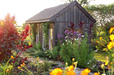 Kırsal bir ahşap kulübe tarzı bahçe kulübesi güzel, renkli yaz çiçekleriyle çevrilidir..