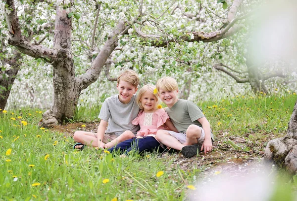 Tři Šťastné Malé Děti Bratři Jejich Sestra Usmívají Když Sedí — Stock fotografie