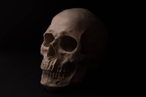 Реалистичный человеческий череп изолирован на черном фоне. Вид сбоку. Его зубы видны. Челюсть закрыта. Закрыть
.