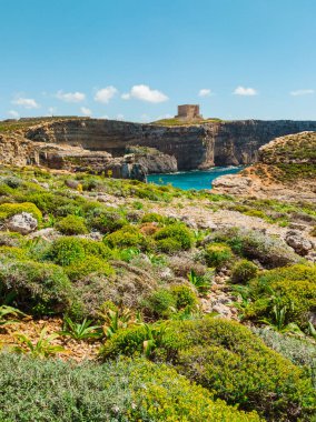 Comino adası. Kule, Kayalıklar, yeşillik, mavi deniz. Malta ülkesi