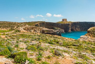 Comino adası. Kule, Kayalıklar, yeşil ve mavi deniz. Malta ülkesi