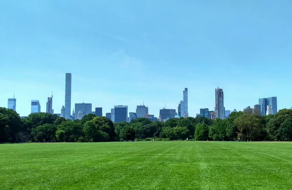 New York'taki gökdelenler. Greeny Central Park'tan görünüm