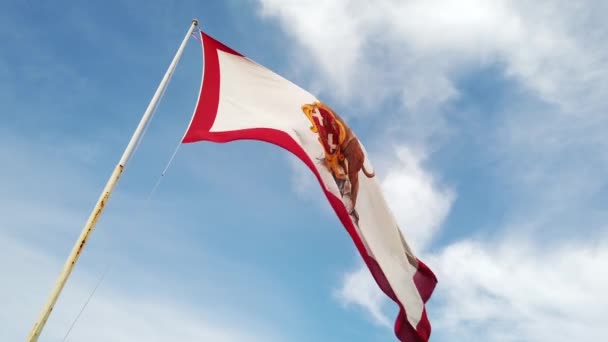 Bandiera Maltese Con Leone Sullo Sfondo Del Cielo Bandiera Valletta — Video Stock