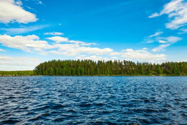 Imatra şehrinde ada, göl ve orman manzara. Finlandiya