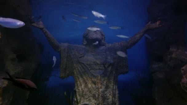 Άγαλμα Του Ιησού Και Πολλά Ψάρια Στο Ενυδρείο — Αρχείο Βίντεο